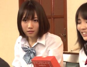 ひよこ義娘×近親相姦｜再婚した妻のJK娘たちを夜這いして犯す義父。美少女姉妹を性に目覚めさせる